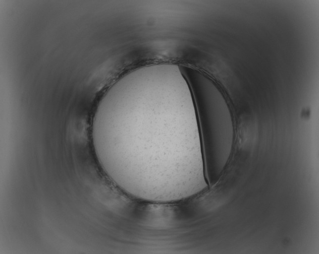 X0000110720520200906261459