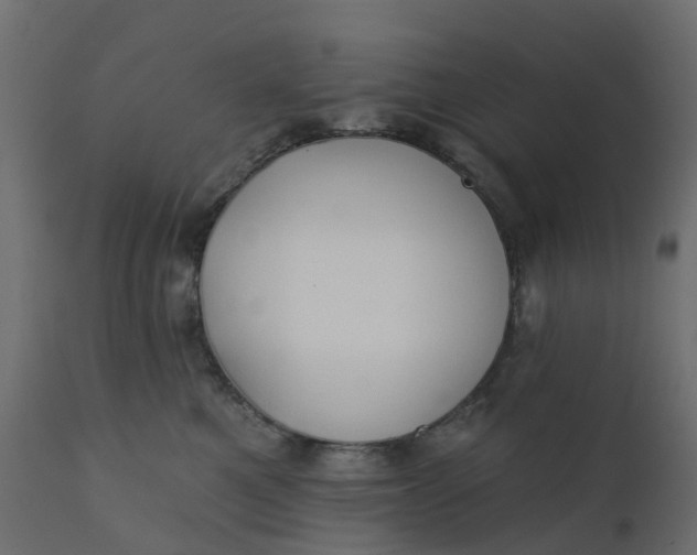 X0000110720521200906261459