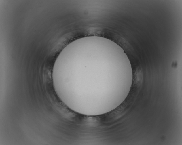 X0000110720522200906261459