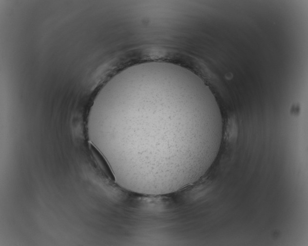 X0000110720524200906261458