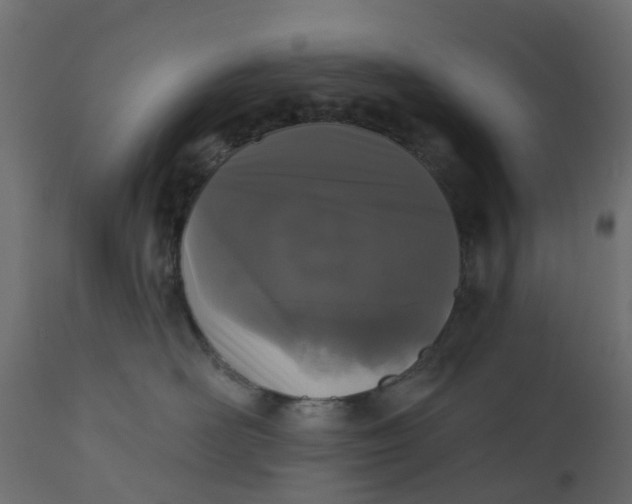 X0000110720526200906261458