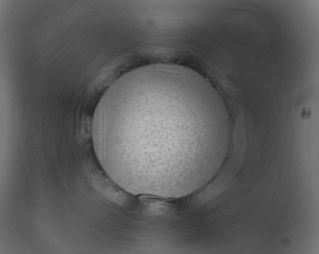 X0000110720528200906261458