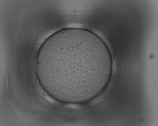 X0000110720529200906261458