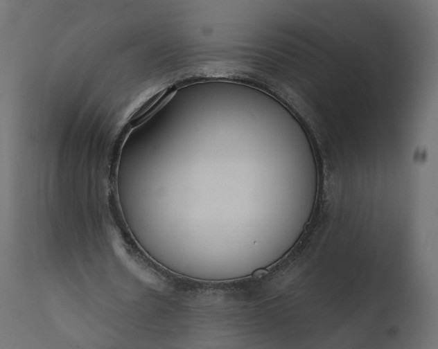 X0000110720530200906261458