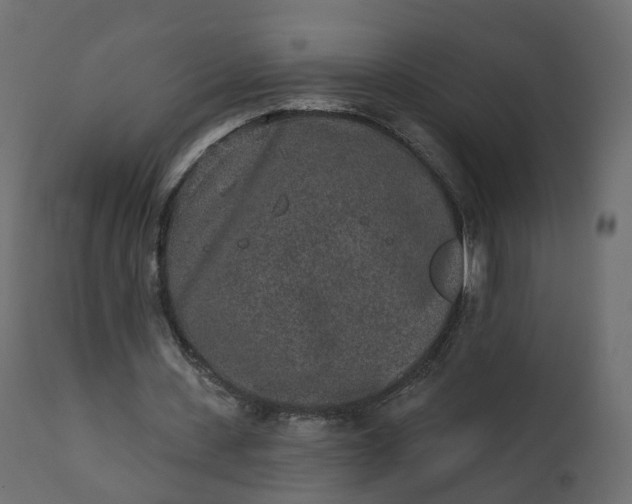 X0000110720531200906261458