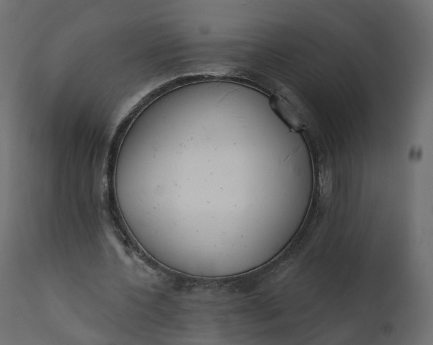 X0000110720532200906261458