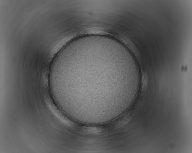 X0000110720533200906261458