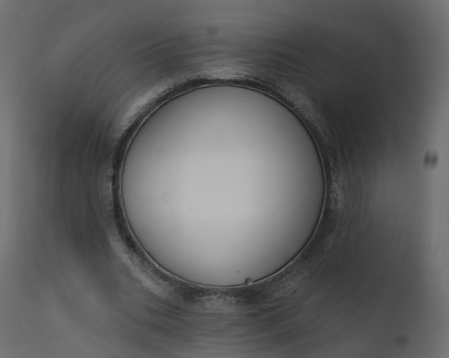 X0000110720535200906261458