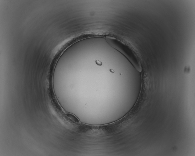 X0000110720536200906261458