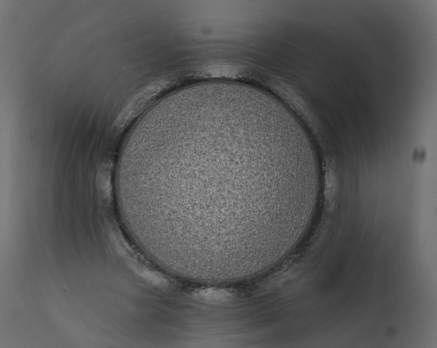 X0000110720537200906261458