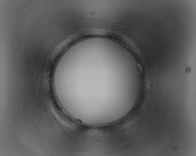 X0000110720538200906261458