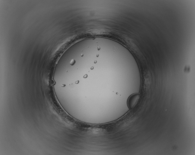 X0000110720539200906261458