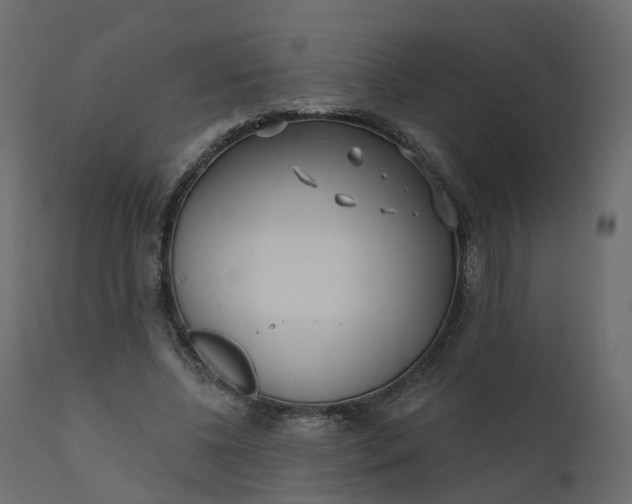 X0000110720540200906261458