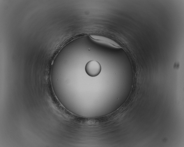 X0000110720546200906261458