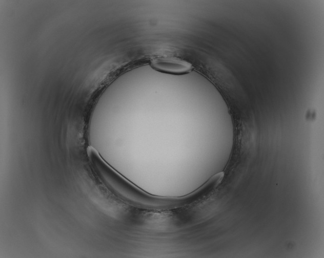 X0000110720548200906261458