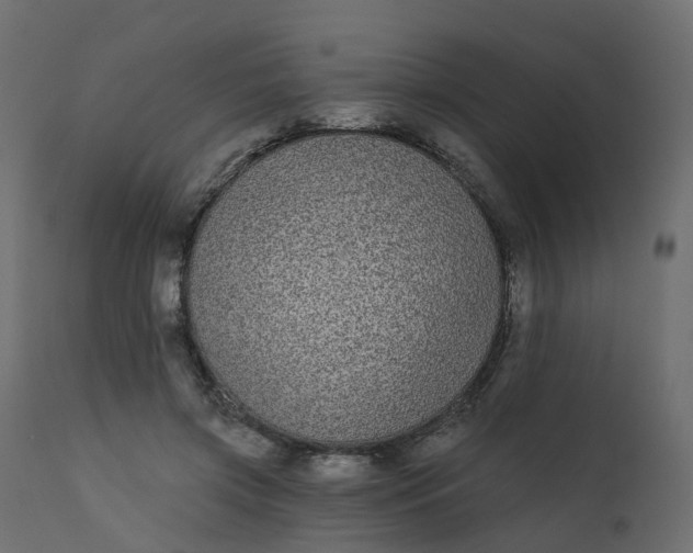 X0000110720549200906261458