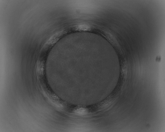 X0000110720551200906261458