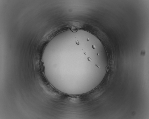 X0000110720552200906261458