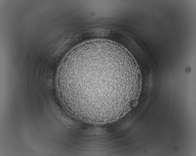 X0000110720553200906261458