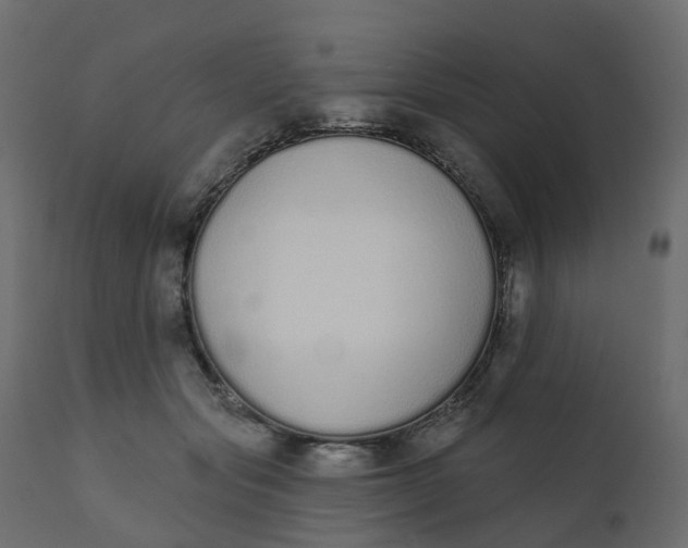 X0000110720557200906261458