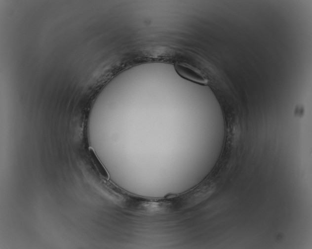 X0000110720558200906261458