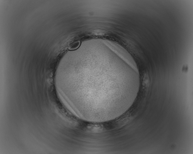 X0000110720559200906261458