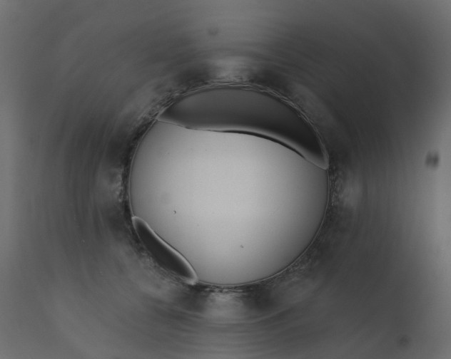 X0000110720560200906261458