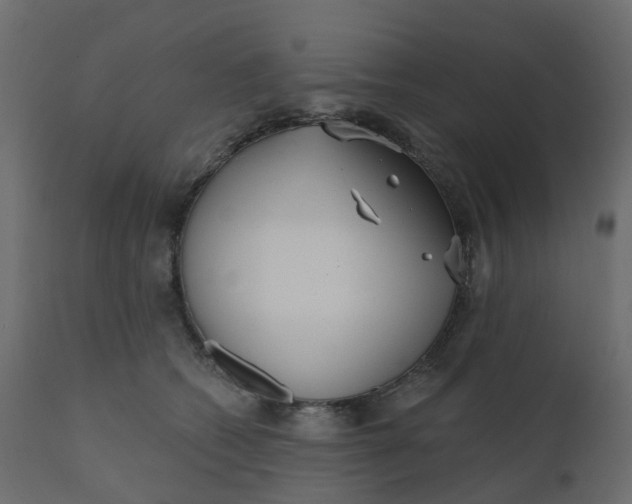 X0000110720562200906261458