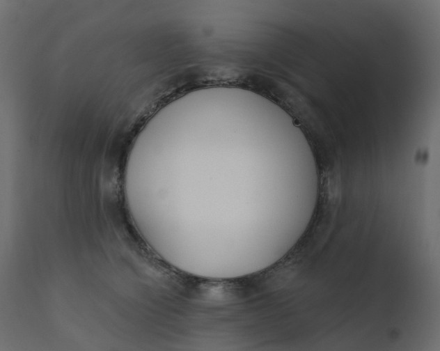 X0000110720564200906261458