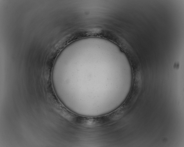 X0000110720565200906261458