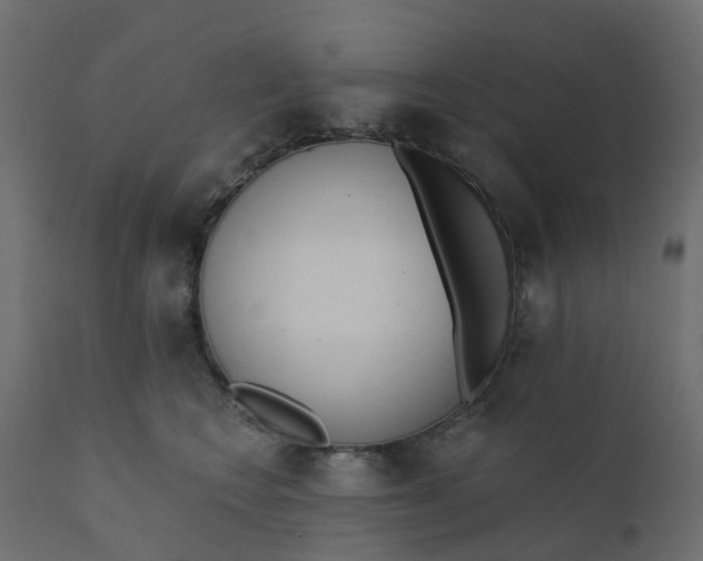 X0000110720566200906261458