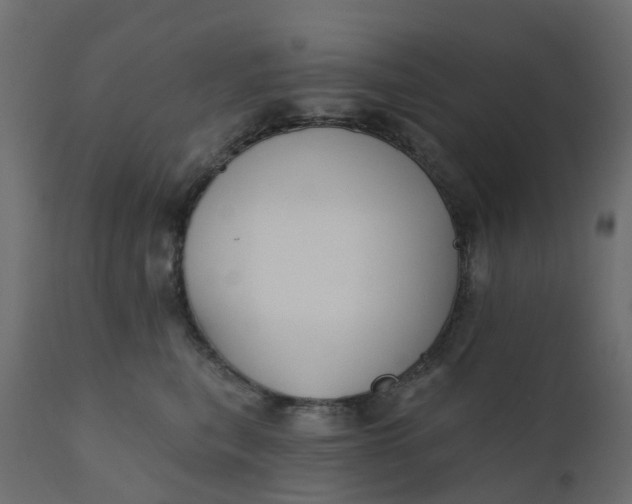 X0000110720567200906261458