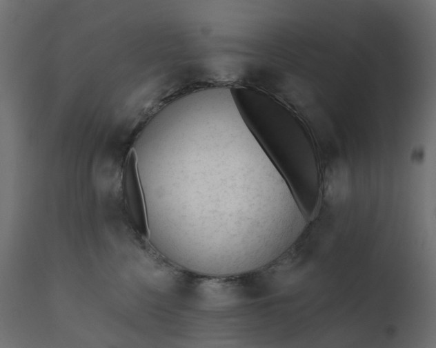 X0000110720568200906261458