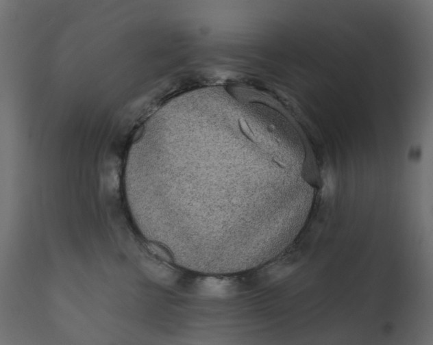 X0000110720570200906261458