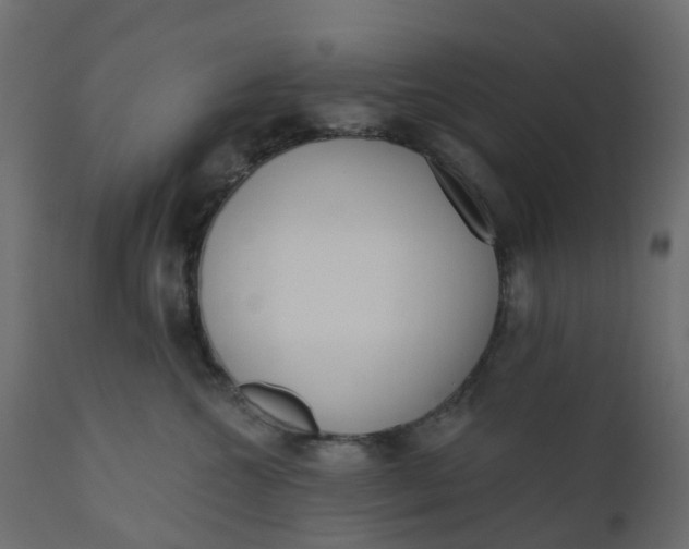 X0000110720572200906261458