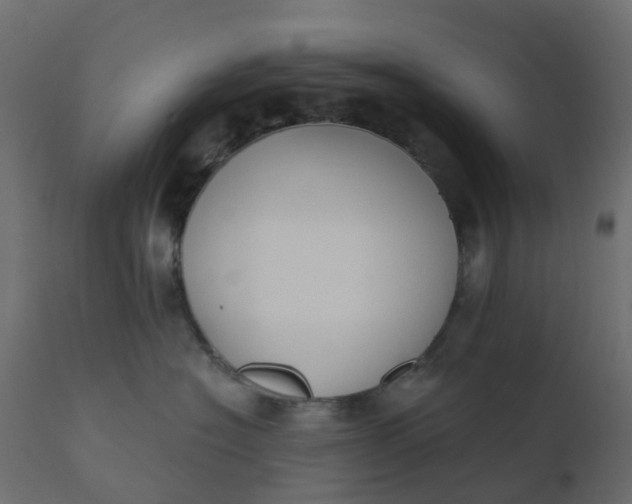 X0000110720574200906261458