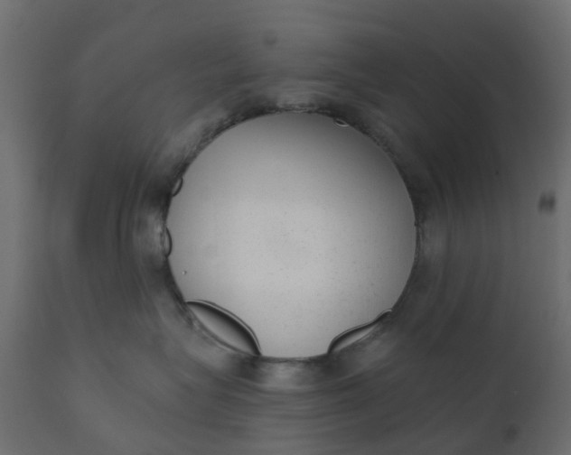 X0000110720575200906261458