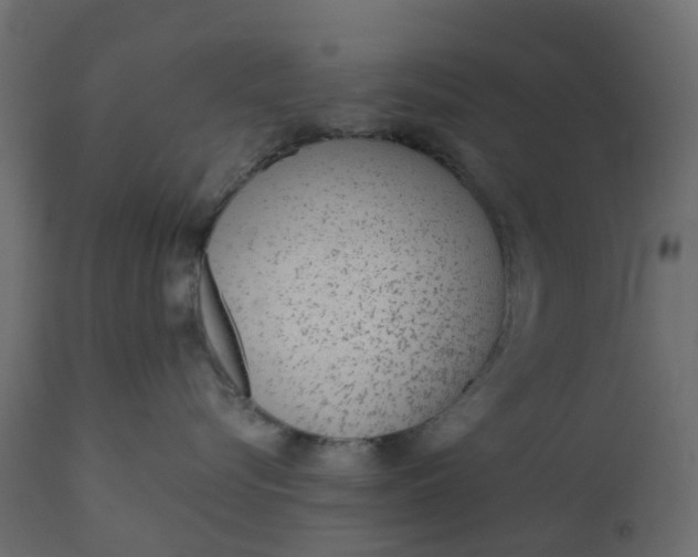 X0000110720576200906261458