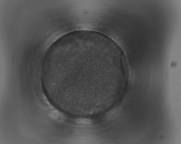 X0000110720577200906261458