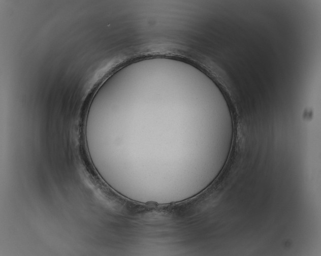 X0000110720578200906261458