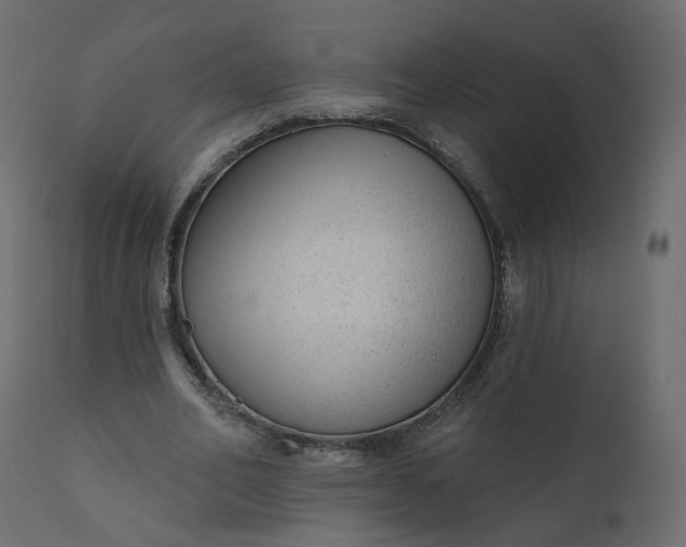 X0000110720582200906261458