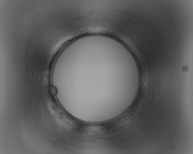 X0000110720583200906261458