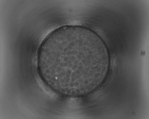 X0000110720584200906261457