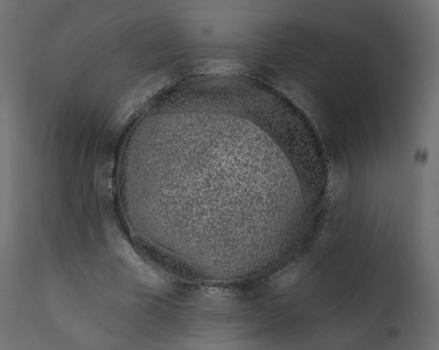 X0000110720585200906261457