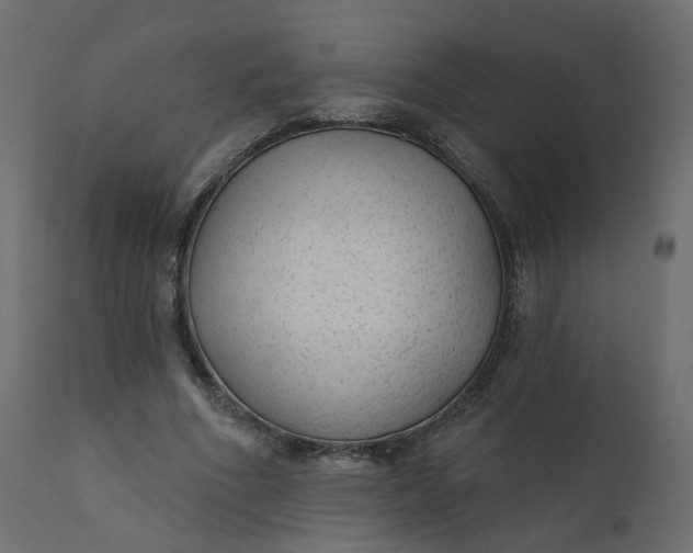 X0000110720586200906261457