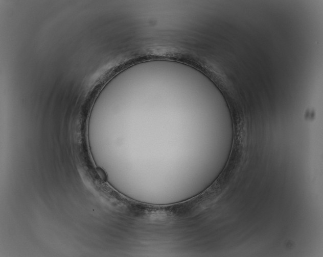 X0000110720587200906261457