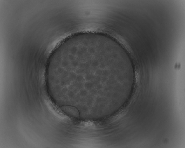 X0000110720588200906261457