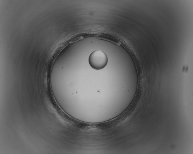 X0000110720589200906261457