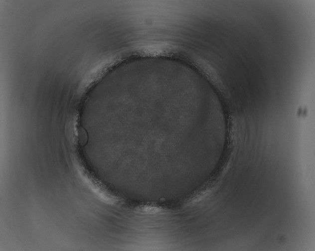 X0000110720590200906261457