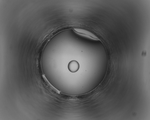 X0000110720595200906261457